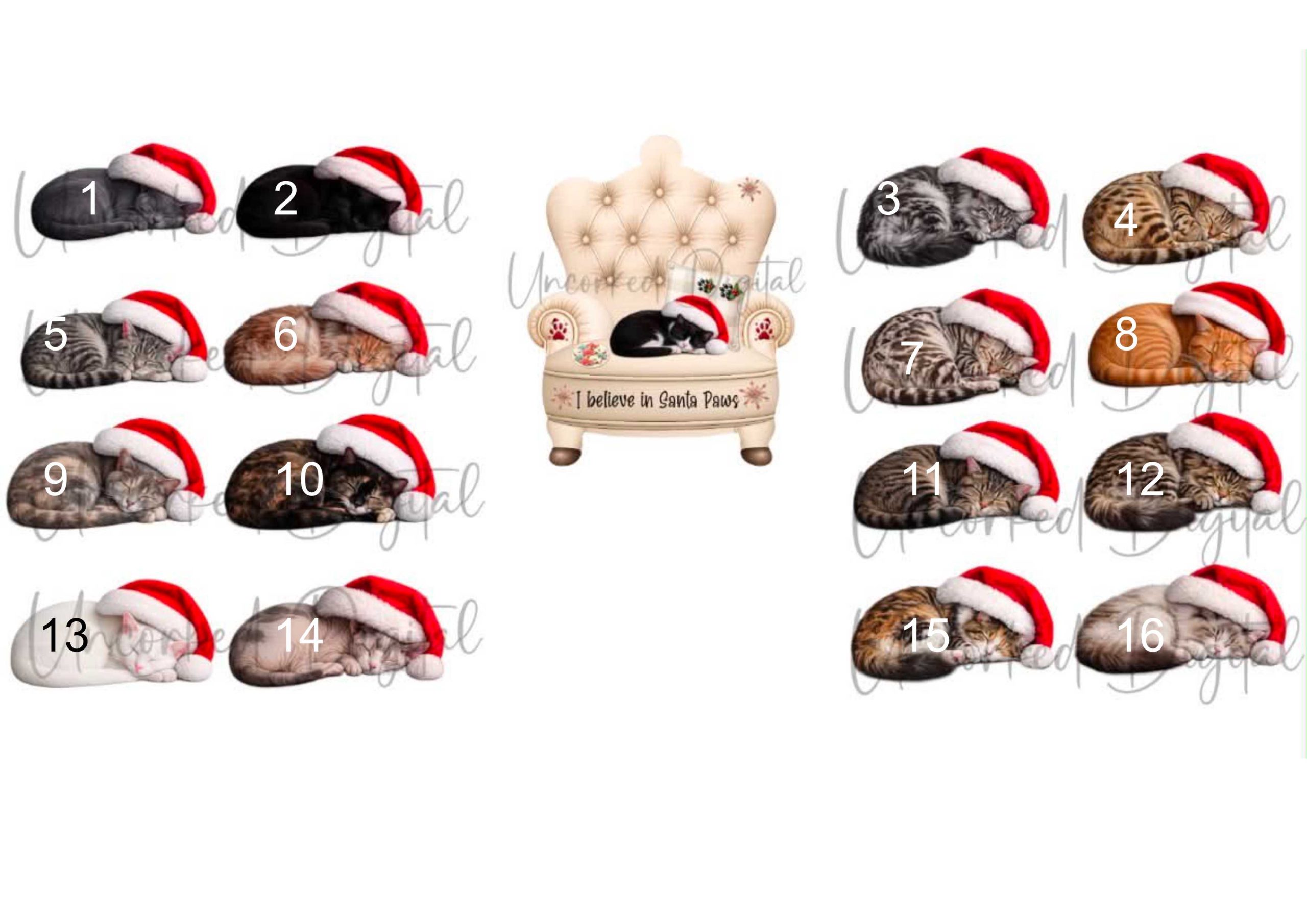 Cats and Dogs sat on a chair Decoration