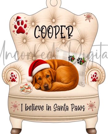 Cats and Dogs sat on a chair Decoration
